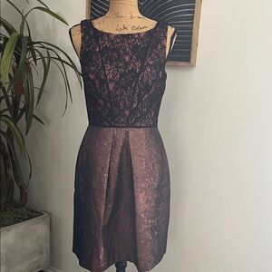 Elegant Black and Pink Lace Dress